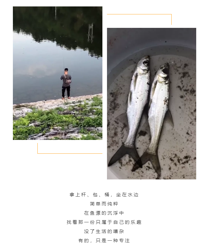 秋天了，來一場成年人的秋游吧(圖5)