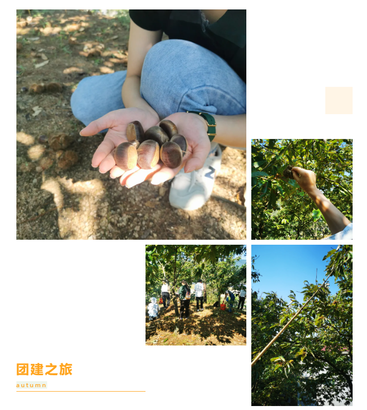 秋天了，來一場成年人的秋游吧(圖6)